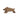 Ostheimer Small Wild Boar - Gemini Atelier