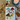 Tall Hat Tales - Hand-painted Mushroom To-and-From Cards
