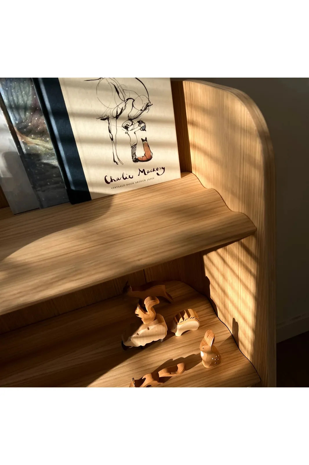 Curvy Montessori Bookcase