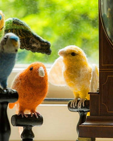 Green English Budgie Taxidermy - GEMINI ATELIER