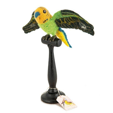 Green English Budgie Taxidermy - GEMINI ATELIER