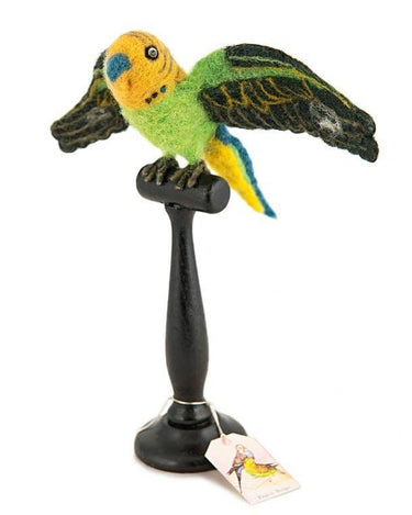 Green English Budgie Taxidermy - GEMINI ATELIER