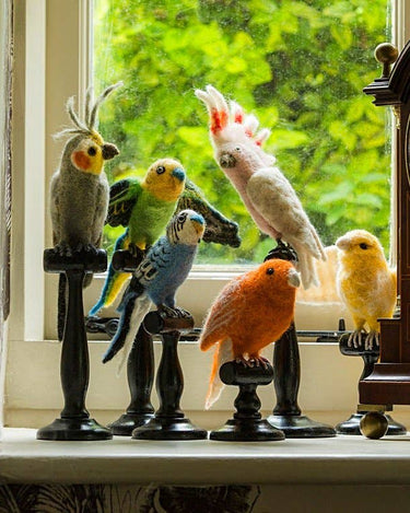 Green English Budgie Taxidermy - GEMINI ATELIER