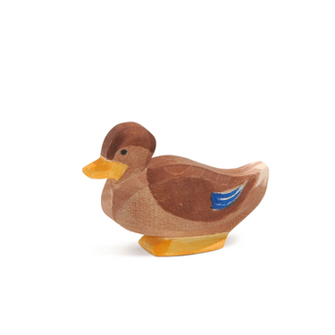 Ostheimer Duck Sitting