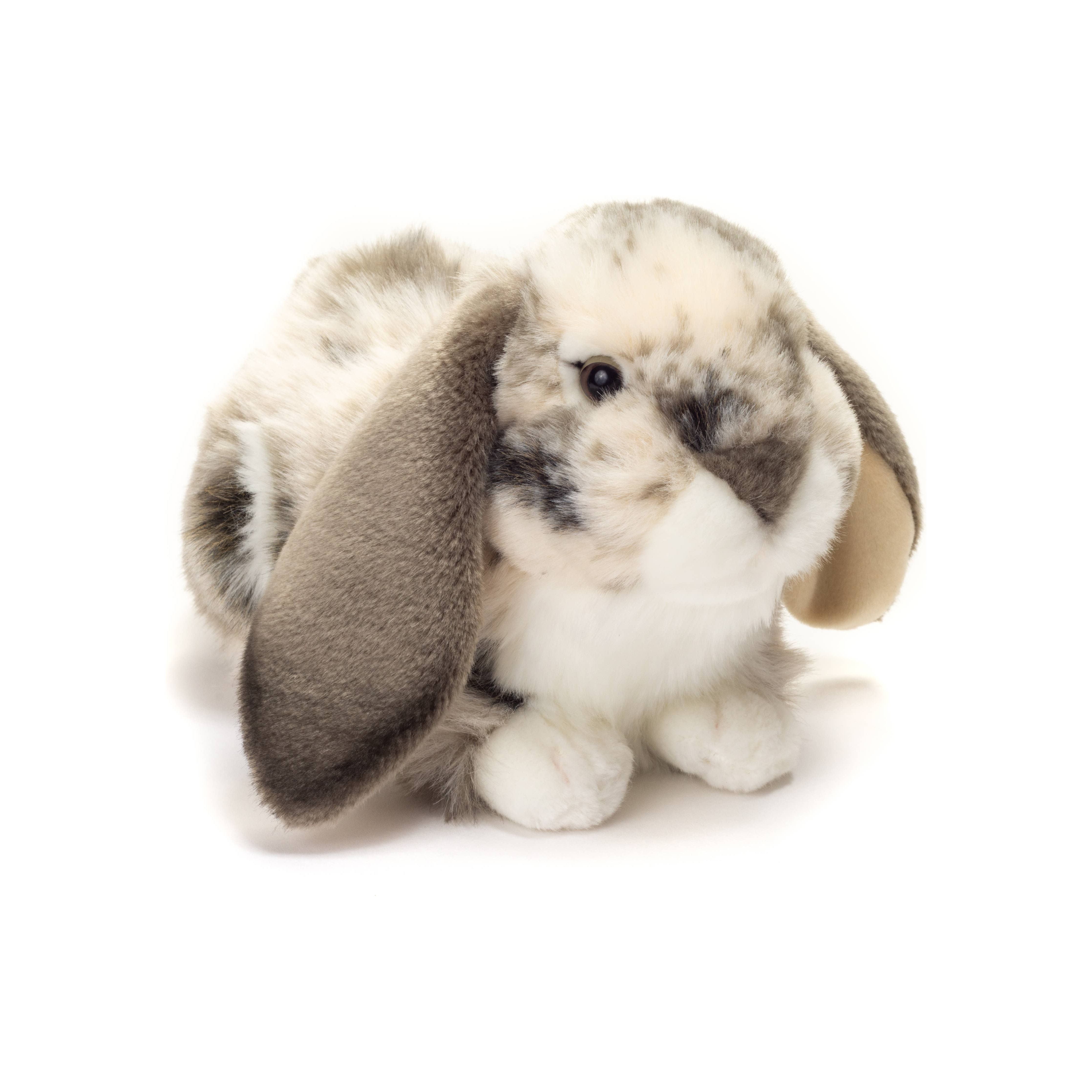 Schleich dieren kopen | Daphne draaft door Schleich dieren kopen | Daphne draaft door