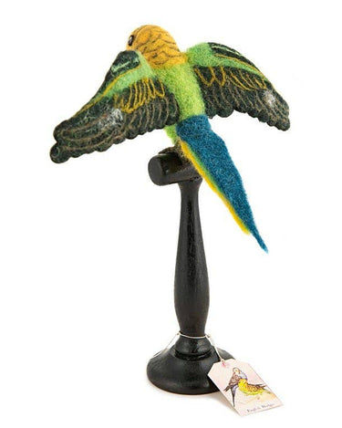 Green English Budgie Taxidermy - GEMINI ATELIER